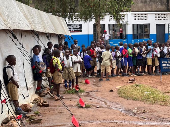 12 https://df.sidaseeds.com/wp-content/uploads/2024/11/12.jpeg