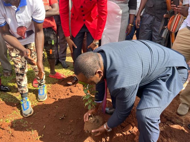 15 https://df.sidaseeds.com/wp-content/uploads/2024/11/15.jpeg