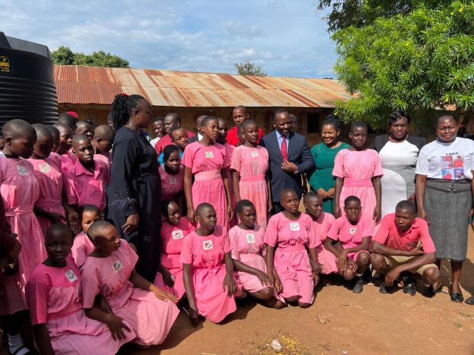 16 https://df.sidaseeds.com/wp-content/uploads/2024/11/16.jpeg